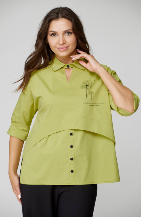 Женская блуза Danaida 2147 яблоко