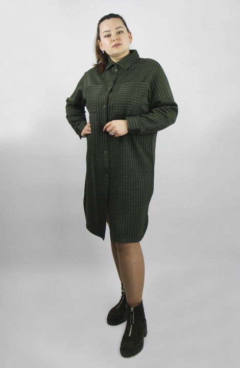 женские платья Полесье С4475-21 1С1260-Д43 170 т.оливковый