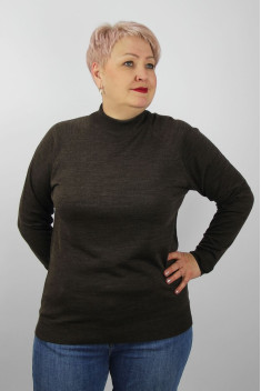 женский свитеры Полесье С3316-15 5С1754-Д43 170,176 коричневый