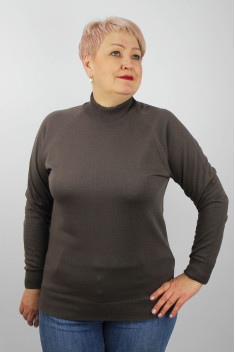 женский свитеры Полесье С3316-15 5С1754-Д43 170,176 перчинка