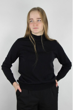 женский свитеры Полесье С3731-23 3С8783-Д43 158,164 черный